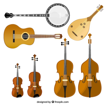 Variety of stringed instruments Variety of stringed instruments