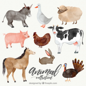 Variety of watercolor animals Variety of watercolor animals