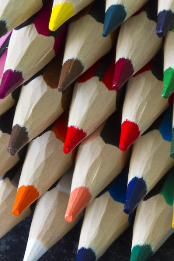 Various Color Pencil Various Color Pencil