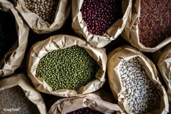 Various types of beans in multiple sacks | Free stock photo - 484455 Various types of beans in multiple sacks | Free stock photo - 484455