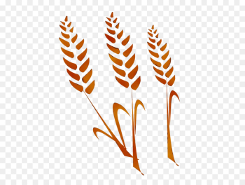 vascular plant grass family leaf plant clip art vascular plant grass family leaf plant clip art