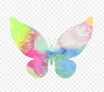 Vector graphics Butterfly Image Watercolor painting - butterfly water 