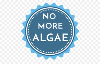 Vector graphics Drawing Lens flare Graphic design Illustration - algae badge 