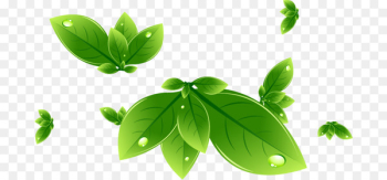 Vector graphics Euclidean vector Portable Network Graphics Encapsulated PostScript - leaf swag 