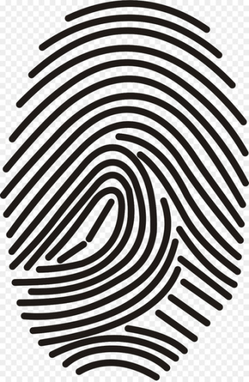Vector graphics Fingerprint Portable Network Graphics Image scanner - fingerprint pattern 