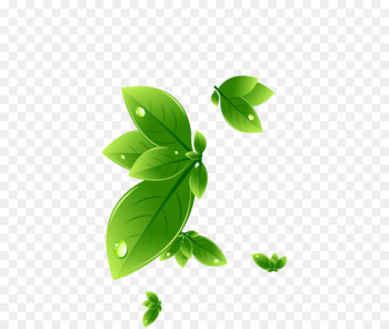 Vector graphics Portable Network Graphics Encapsulated PostScript Design Euclidean vector - leaf swag 