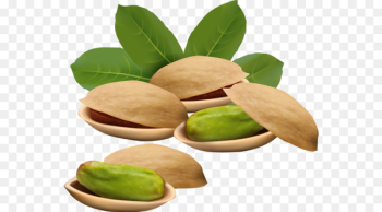Vector graphics Royalty-free Nut Pistachio Illustration - Vector graphics Royalty-free Nut Pistachio Illustration -