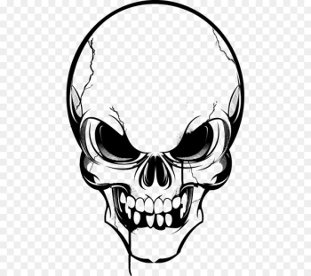 Vector graphics Skull Clip art Image Drawing - skull Vector graphics Skull Clip art Image Drawing - skull