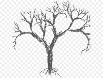 Vector graphics Tree Branch Drawing Image - tree Vector graphics Tree Branch Drawing Image - tree
