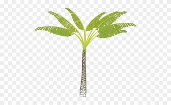 Vector Image Of Tropical Palm Tree - Palm Tree Clip Art