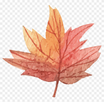 Vector Maple Leaf - Maple Leaf Vector Maple Leaf - Maple Leaf