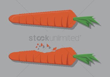 Vector of carrots Vector of carrots