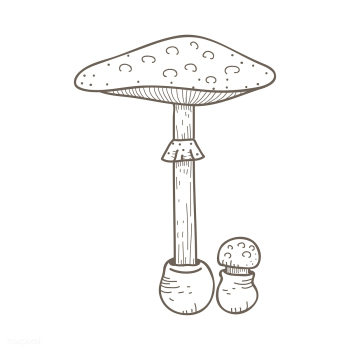 Vector of mushroom | Free stock vector - 251549 Vector of mushroom | Free stock vector - 251549