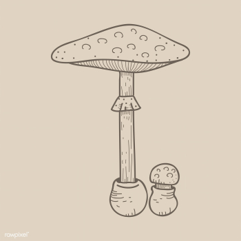 Vector of mushroom | Free stock vector - 251550 Vector of mushroom | Free stock vector - 251550