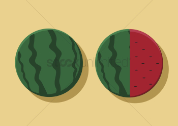 Vector of watermelons