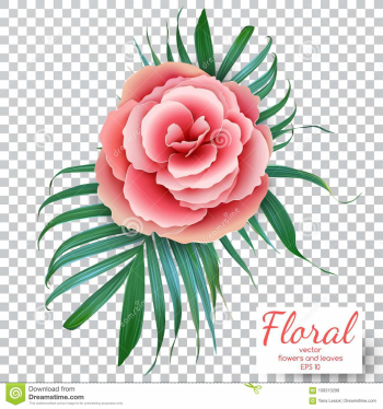 Vector Pink Rose On A Transparent Background. Flower Bouquet. De ...