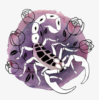 Vector Scorpio, Violet, Scorpio, Vector Constellation PNG and Vector ...