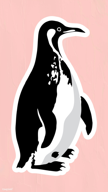Vectorized penguin sticker overlay design element | Free vector - 2361273 Vectorized penguin sticker overlay design element | Free vector - 2361273
