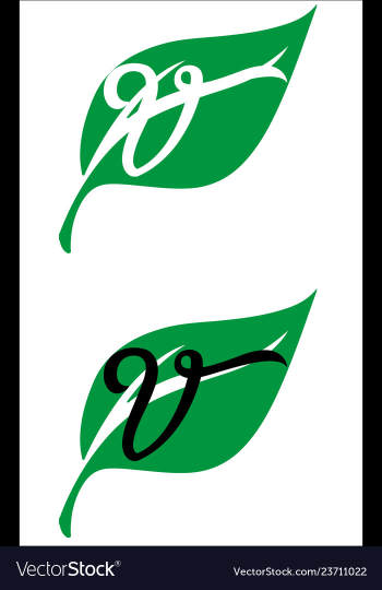  					Vegan leaf symbol icon vector image														
