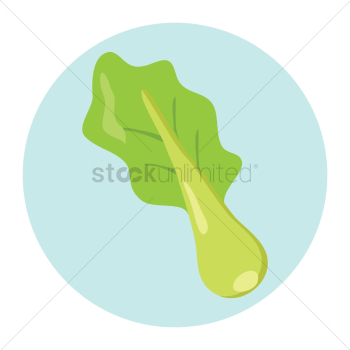 Vegetable Vegetable