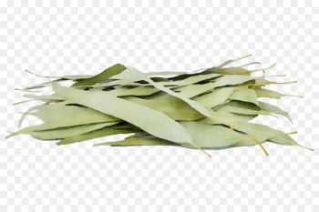 Vegetable Commodity -  