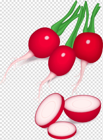 Vegetable Food Learning Fruit, radish transparent background PNG clipart