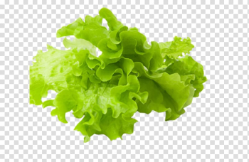 Vegetable Food Salad, vegetable transparent background PNG clipart Vegetable Food Salad, vegetable transparent background PNG clipart