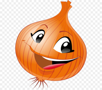 Vegetable Fruit Onion - Hand-drawn cartoon orange onion Vegetable Fruit Onion - Hand-drawn cartoon orange onion