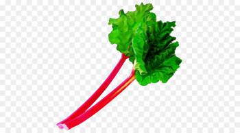 vegetable green leaf vegetable chard leaf vegetable green leaf vegetable chard leaf