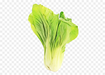 vegetable leaf vegetable plant food wild cabbage vegetable leaf vegetable plant food wild cabbage