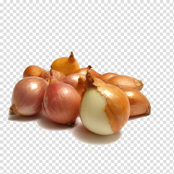 Vegetable onion Fruit , onion transparent background PNG clipart Vegetable onion Fruit , onion transparent background PNG clipart