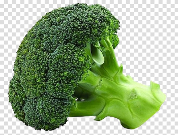 Vegetable Organic food Broccoli Seed Cauliflower, Vegetables broccoli, broccoli vegetable transparent background PNG clipart