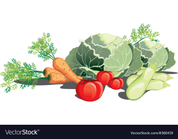 Vegetable vector image Vegetable vector image
