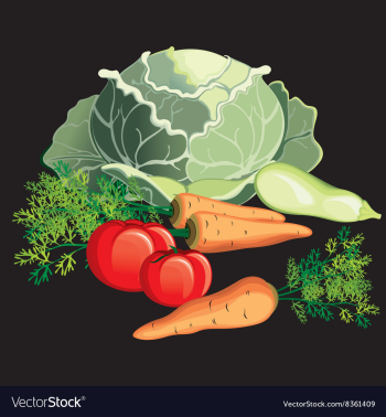 Vegetable vector image Vegetable vector image
