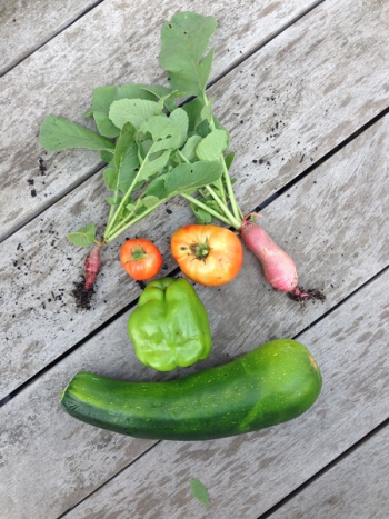 Vegetables Vegetables