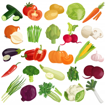 Vegetables icons set Free Vector Vegetables icons set Free Vector