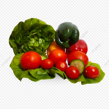 Vegetables On Transparent Background, Vegetables, Bio, Colorful ...