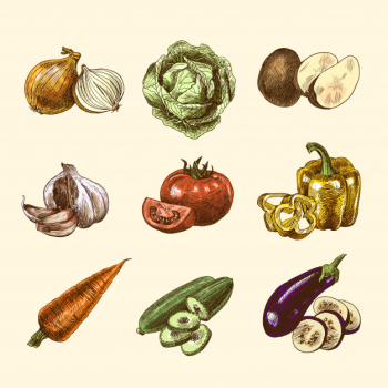 Vegetables sketch set color Vegetables sketch set color