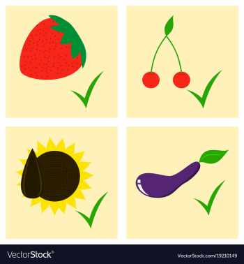 Vegetables top view frame farmers market menu vector image Vegetables top view frame farmers market menu vector image