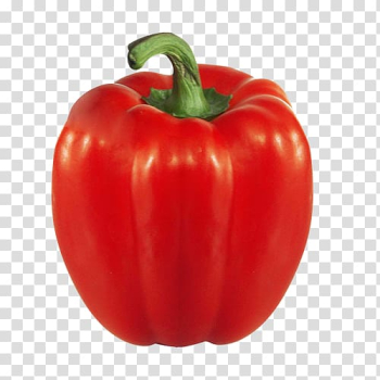 Vegetarian cuisine Bell pepper Vegetable Chili pepper Food, red pepper transparent background PNG clipart