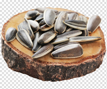 Vegetarian cuisine Mussel Clam Food Sunflower seed, sunflower seeds transparent background PNG clipart