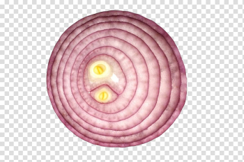 Vegetarian cuisine Shallot Red onion Vegetable Yellow onion, onion transparent background PNG clipart