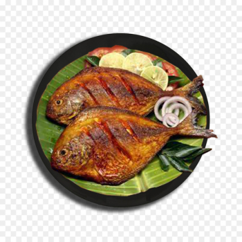 Vegetarian cuisine South Indian cuisine Curry Tandoori chicken - vegetable 