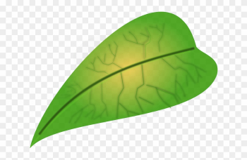 Vegetarian Leaf, Biology, Green, Vegetarian - ใบไม้ สี เขียว การ์ตูน Vegetarian Leaf, Biology, Green, Vegetarian - ใบไม้ สี เขียว การ์ตูน