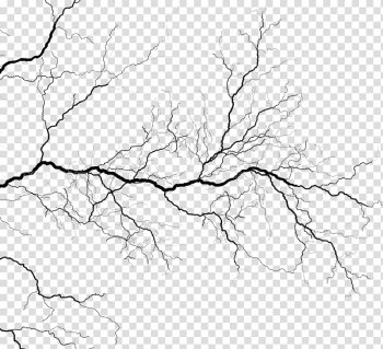 Vein Circulatory system Blood vessel Heart, neck bloodstain transparent background PNG clipart
