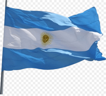 Veinte de Junio Flag of Argentina Flag Day Plaza de Mayo - bandera argentina 
