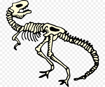 Velociraptor, Tyrannosaurus, Reptile, Terrestrial Animal, Dinosaur PNG