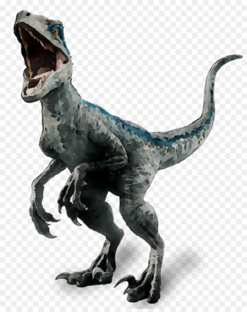 Velociraptor Tyrannosaurus Terrestrial animal - Velociraptor Tyrannosaurus Terrestrial animal -