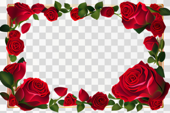 Vertical Rose frame PNG transparent background with copy space