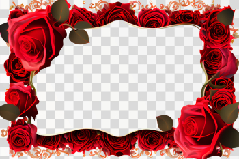 Vertical Rose frame PNG transparent background with copy space